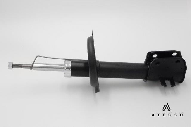 AMT00125