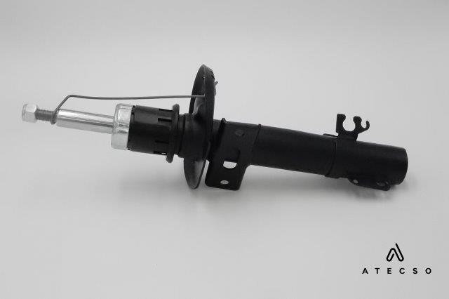 AMT00155