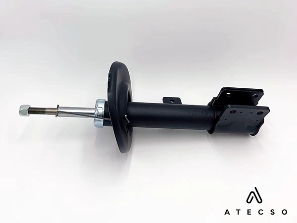 AMT00295