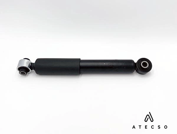 AMT00296
