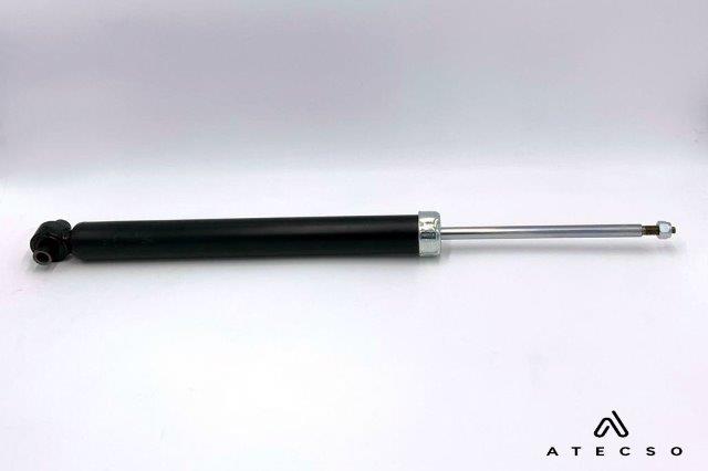 AMT00273