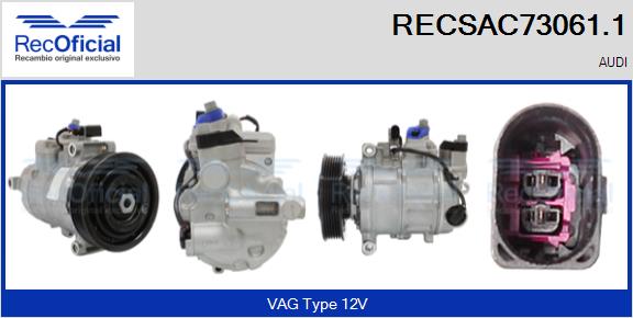 RECSAC73061.1