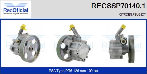 RECSSP70140.1