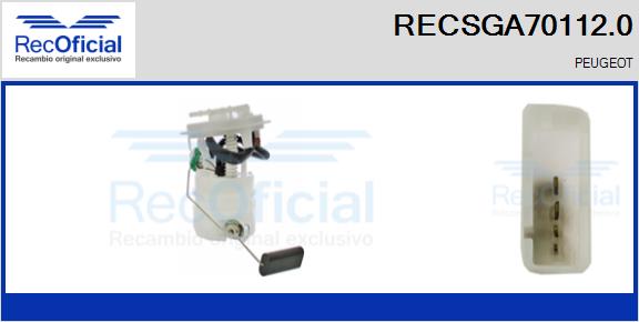 RECSGA70112.0