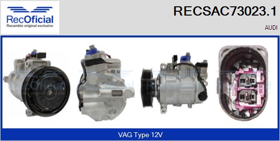RECSAC73023.1