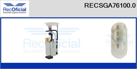RECSGA76100.0