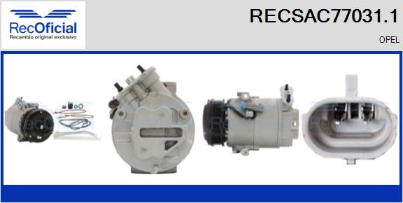 RECSAC77031.1