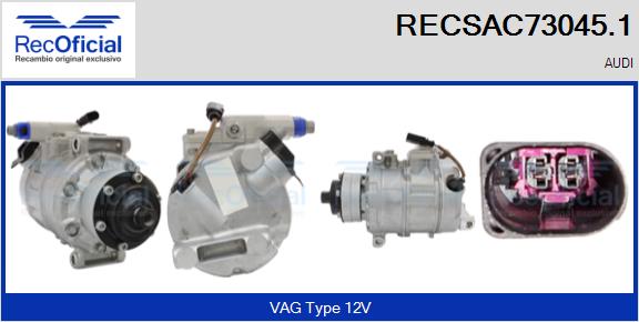 RECSAC73045.1