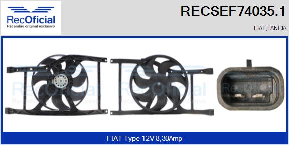 RECSEF74035.1