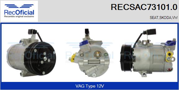 RECSAC73101.0