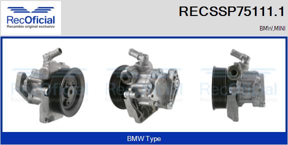 RECSSP75111.1