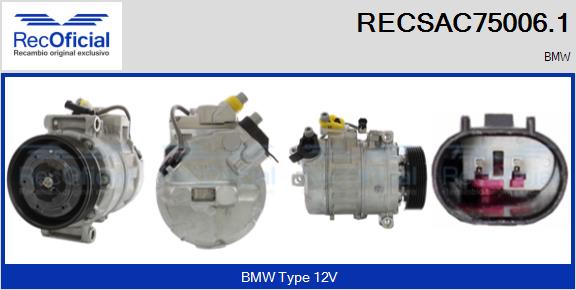 RECSAC75006.1