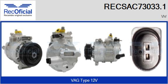 RECSAC73033.1