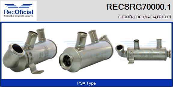 RECSRG70000.1