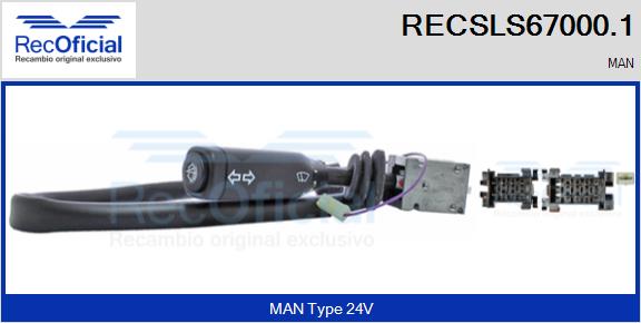 RECSLS67000.1
