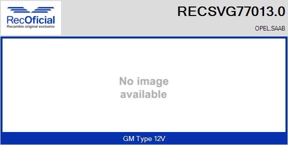 RECSVG77013.0