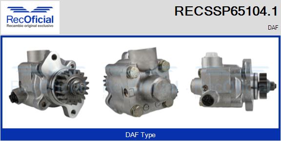RECSSP65104.1