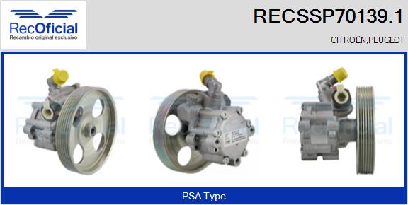 RECSSP70139.1
