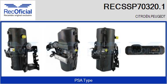 RECSSP70320.1