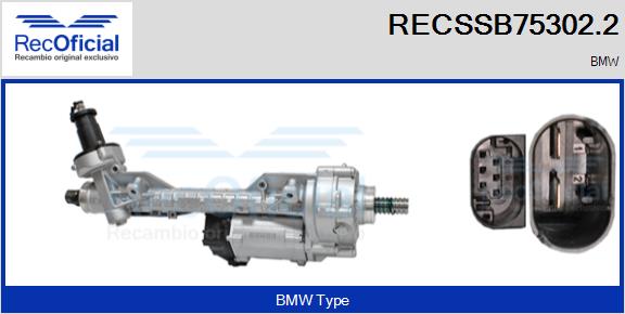 RECSSB75302.2