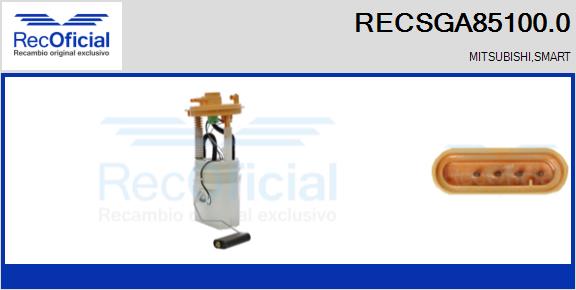RECSGA85100.0