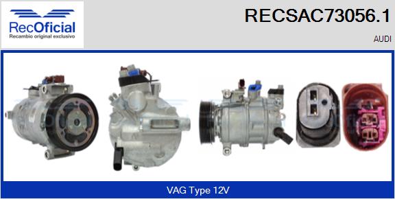 RECSAC73056.1