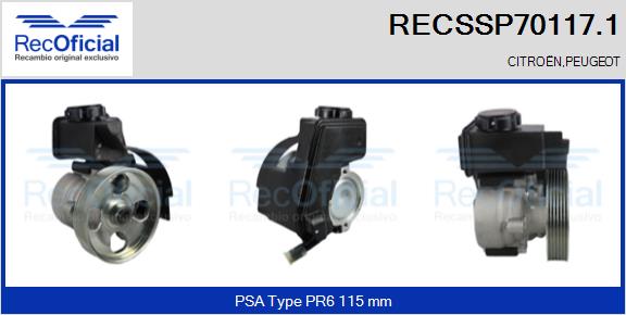 RECSSP70117.1