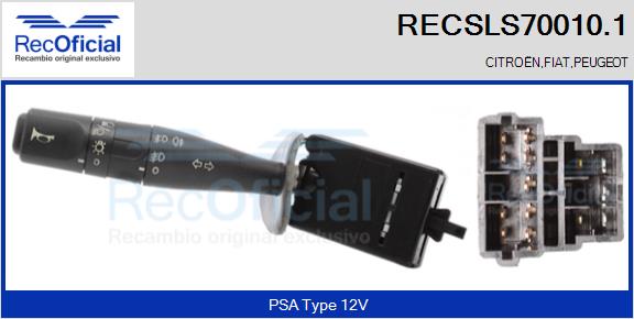 RECSLS70010.1