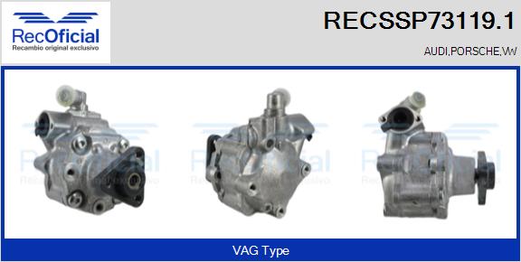 RECSSP73119.1