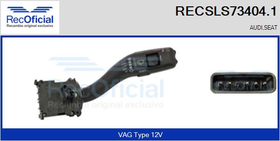 RECSLS73404.1