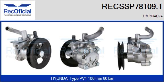 RECSSP78109.1