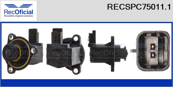 RECSPC75011.1