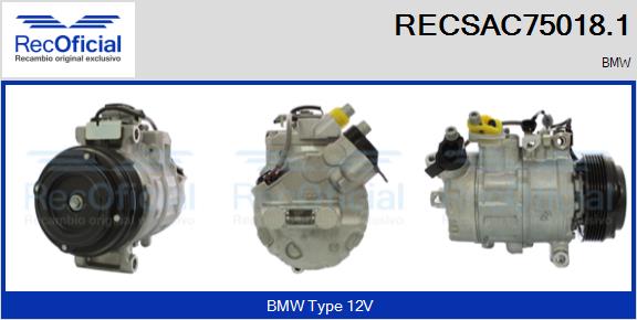 RECSAC75018.1