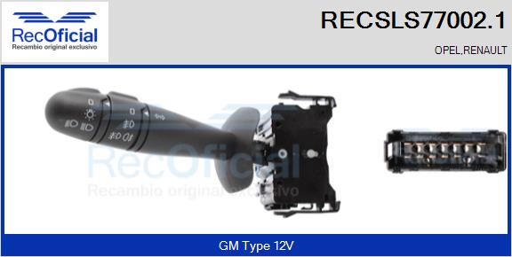 RECSLS77002.1