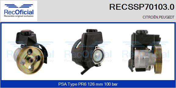 RECSSP70103.0