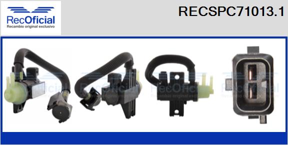 RECSPC71013.1