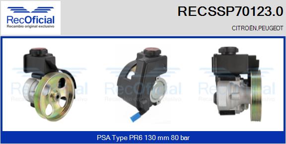 RECSSP70123.0