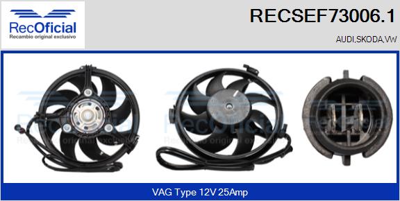 RECSEF73006.1