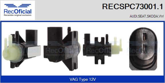 RECSPC73001.1