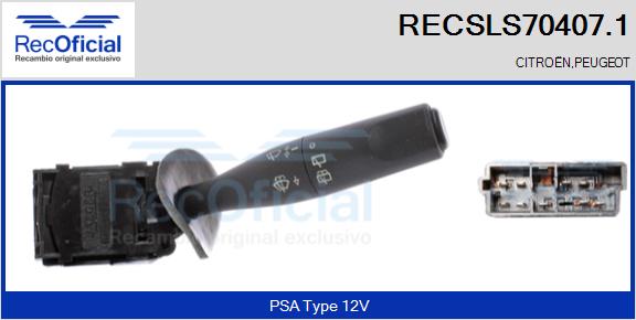 RECSLS70407.1