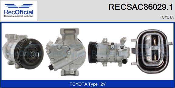RECSAC86029.1