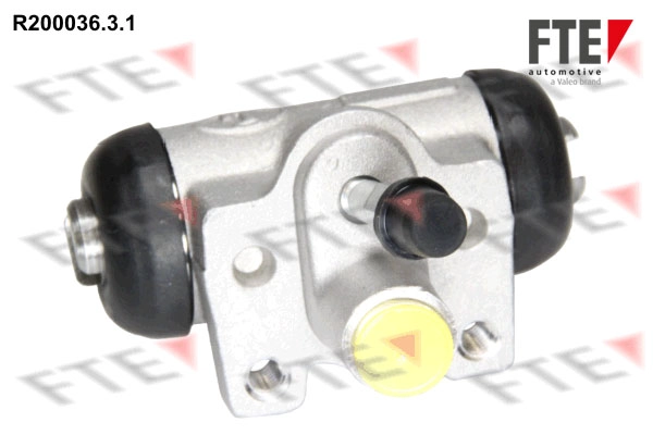 R200036.3.1