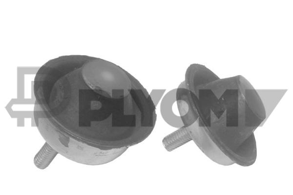 P031113