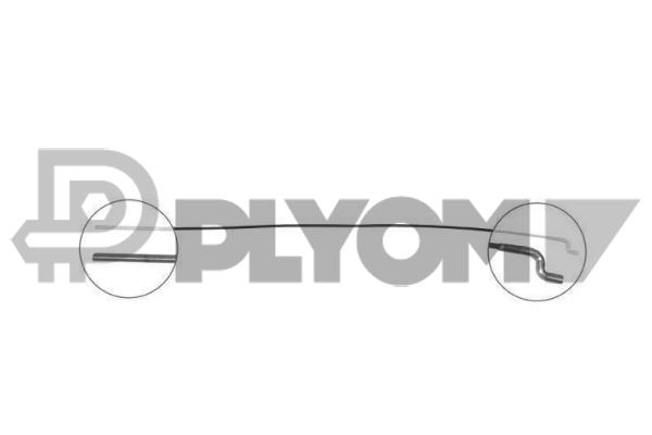 P763019