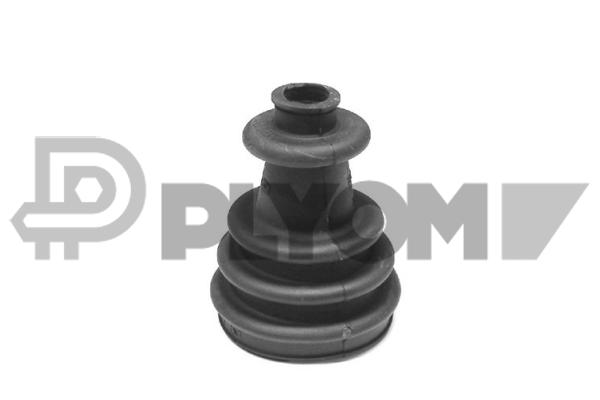 P020041