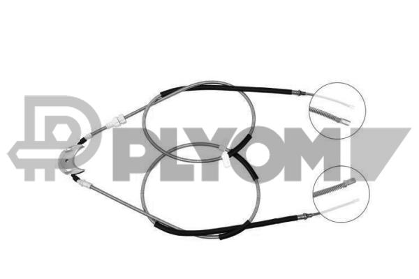 P088082