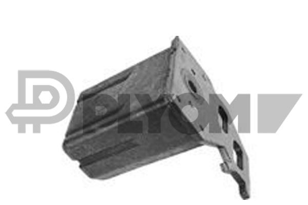 P020521