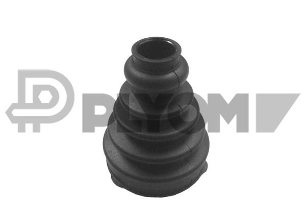 P011100