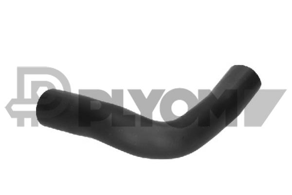 P771281
