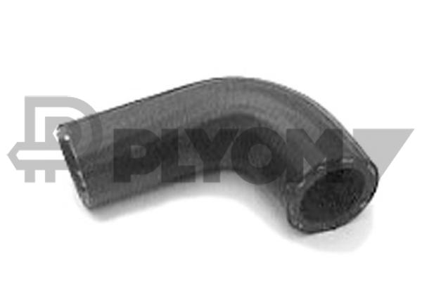 P026428